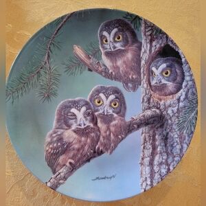 Bradford Exchange beginning to explore  Boreal Owls collector plate
